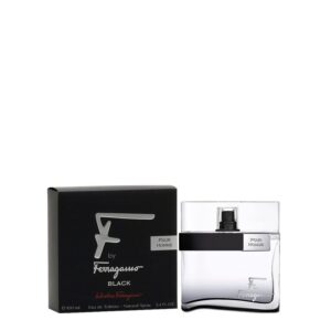 Salvatore Ferragamo F By Ferragamo Black Men EDT 100 ML